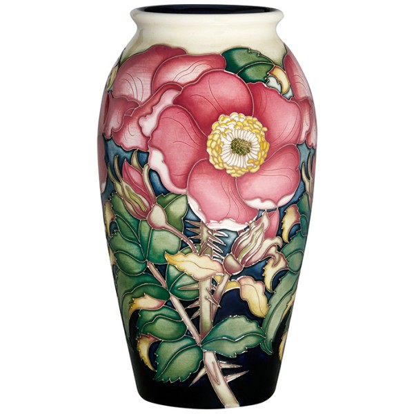 Roses for Henry Cranke Andrews